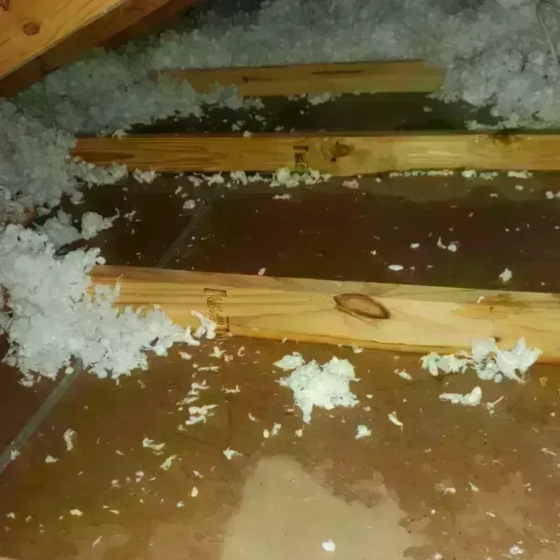 Attic Water Damage in Terrytown, NE